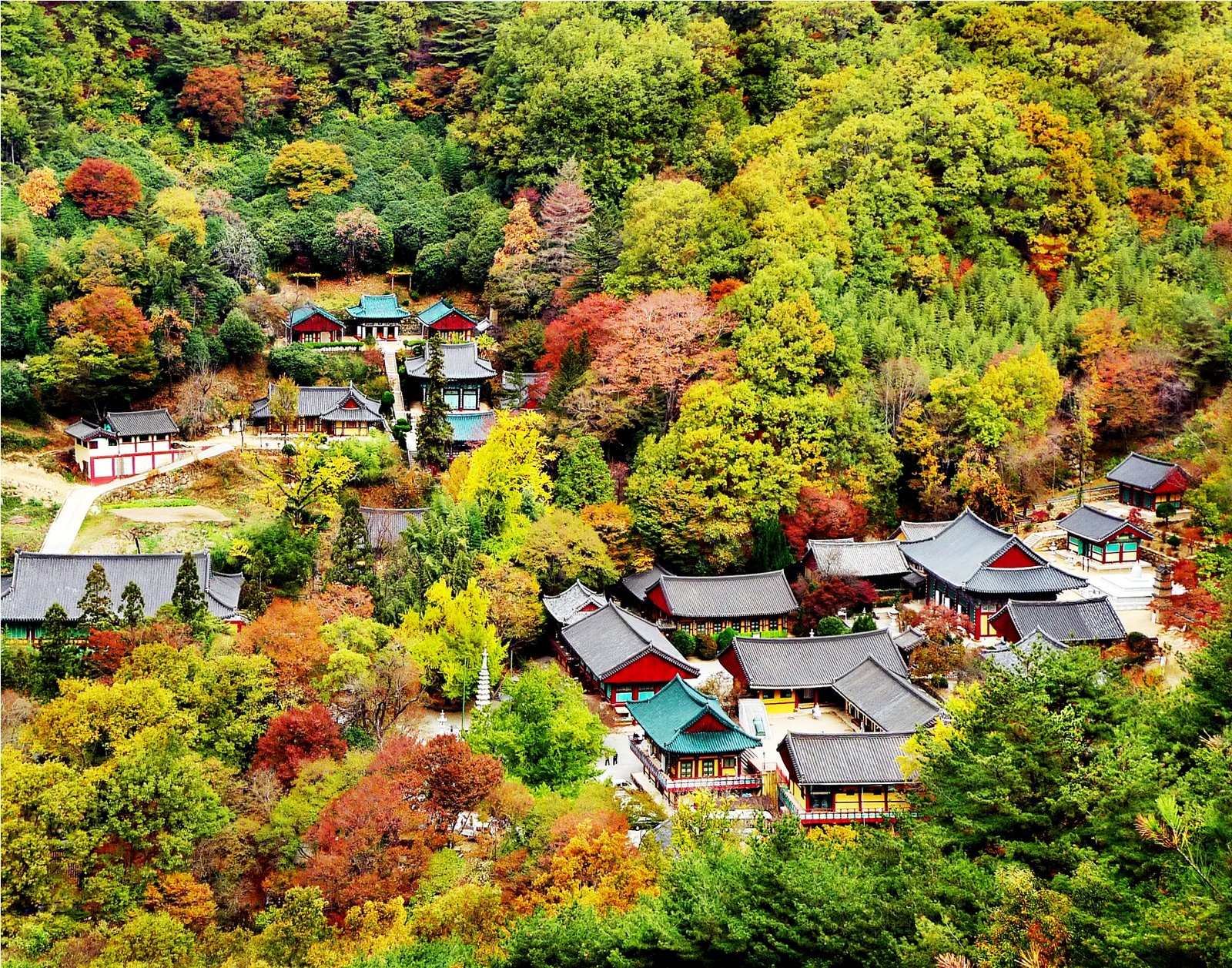 JOUR 15 - SUNCHEON - Spiritualité et charme atypique