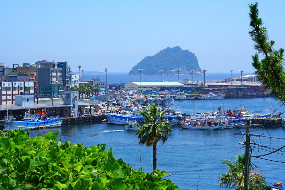 JOUR 3 - îLE DE JEJU, Seogwipo, le calme du sud