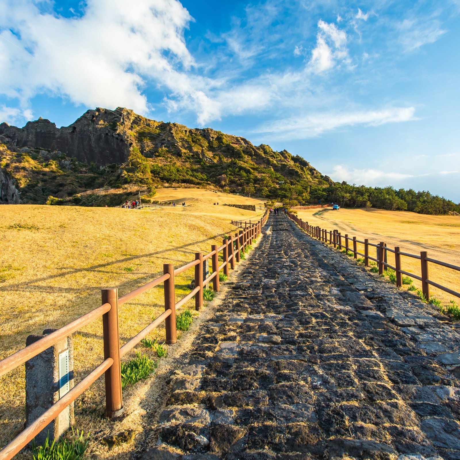 JOUR 5 - Les incontournables de Jeju