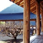 Le confucianisme était si présent qu'il y avait un développement des académies confucéennes