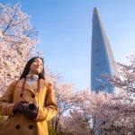 Agence de voyage en Corée du Sud