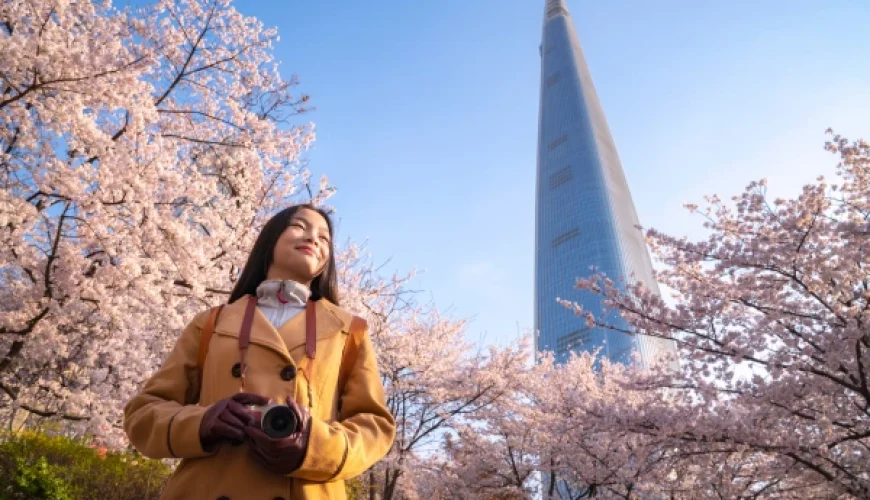 Agence de voyage en Corée du Sud