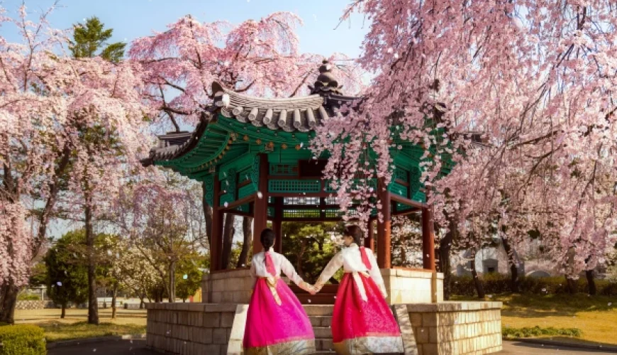 Voyage sur mesure Tour de Corée