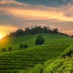 Destinations méconnues