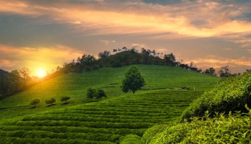 Destinations méconnues