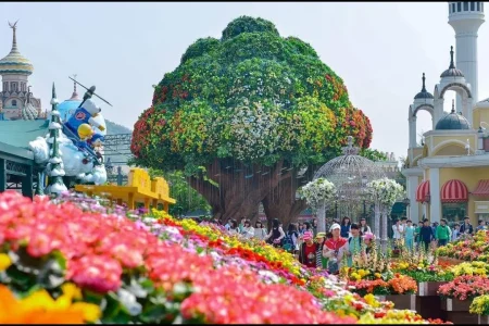 Everland, le royaume du divertissement en Corée du Sud