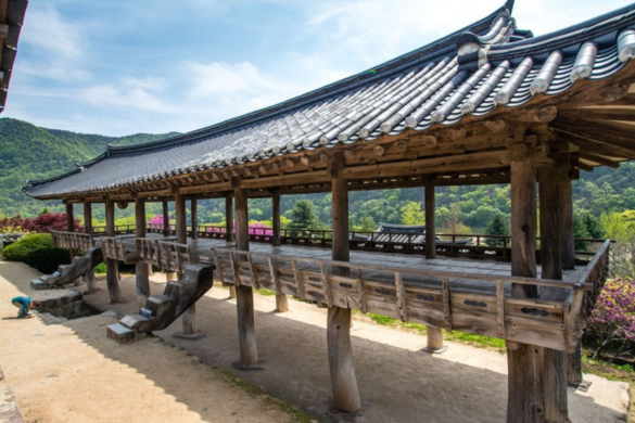 Andong - Voyage culturel en Corée du Sud