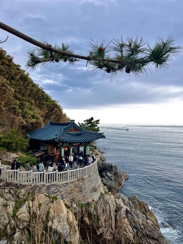JOUR 4 : GANGNEUNG - ENTRE CULTURE TRADITIONELLE ET LIEUX BRANCHÉS 