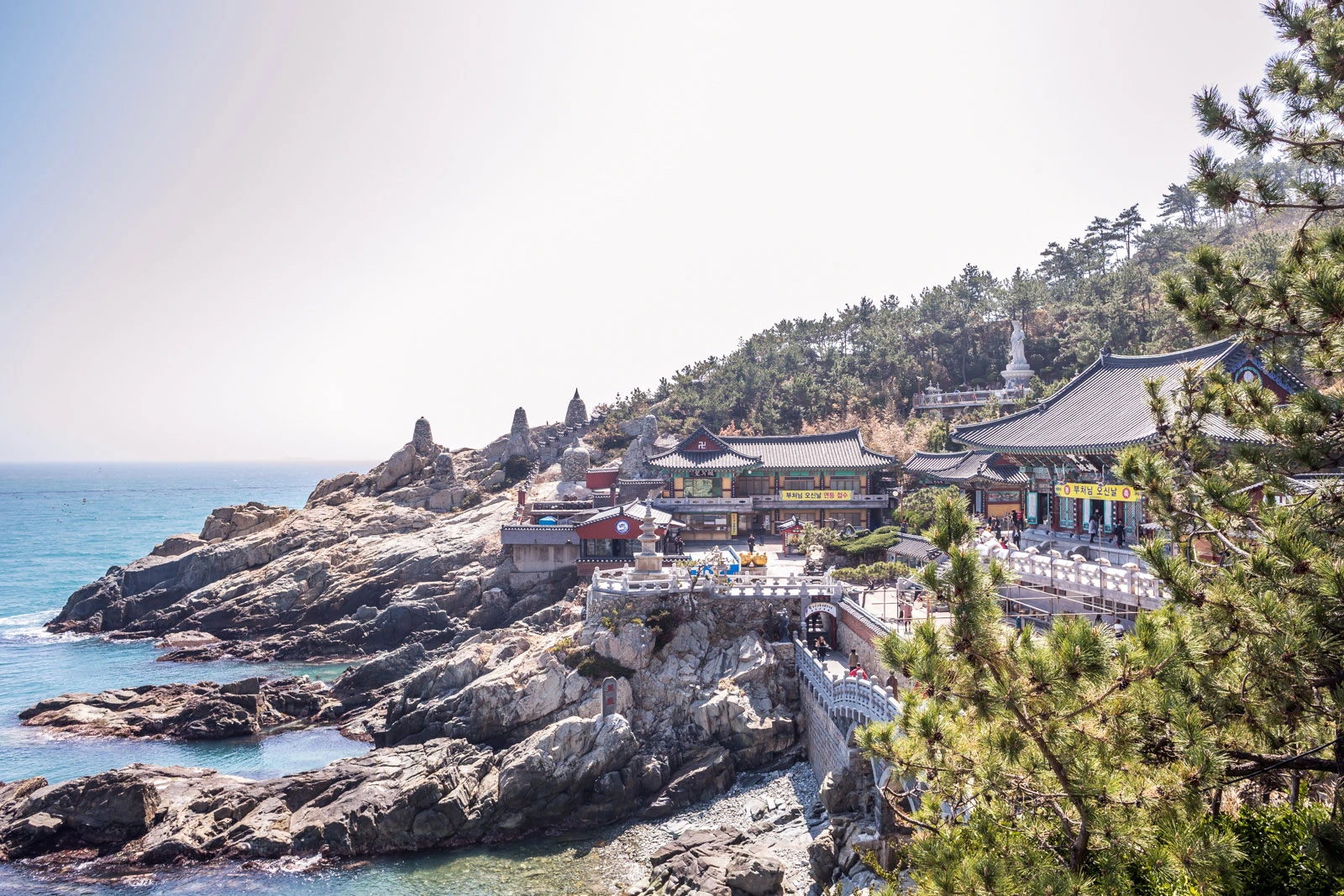 JOUR 9 : BUSAN - ENTRE MER, CULTURE ET GASTRONOMIE 