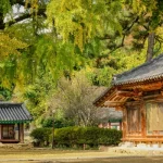 voyage culturel en Corée du Sud