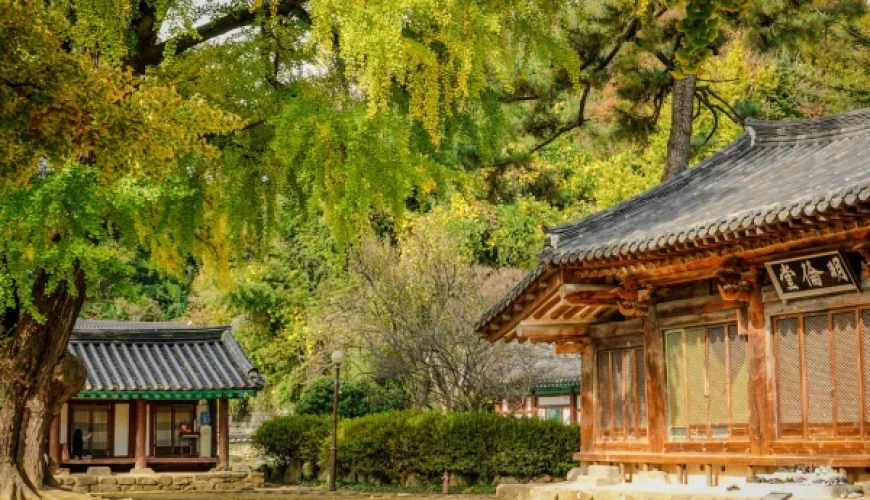 voyage culturel en Corée du Sud