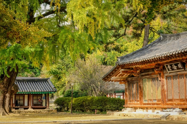 voyage culturel en Corée du Sud