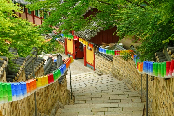 agence de voyage en Corée du Sud - voyage de groupe ou en autonomie ?