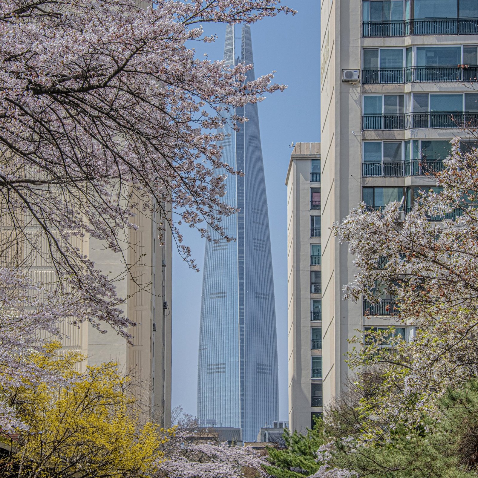 JOUR 15 - SÉOUL - PREMIERS RETOURS ET INKIGAYO