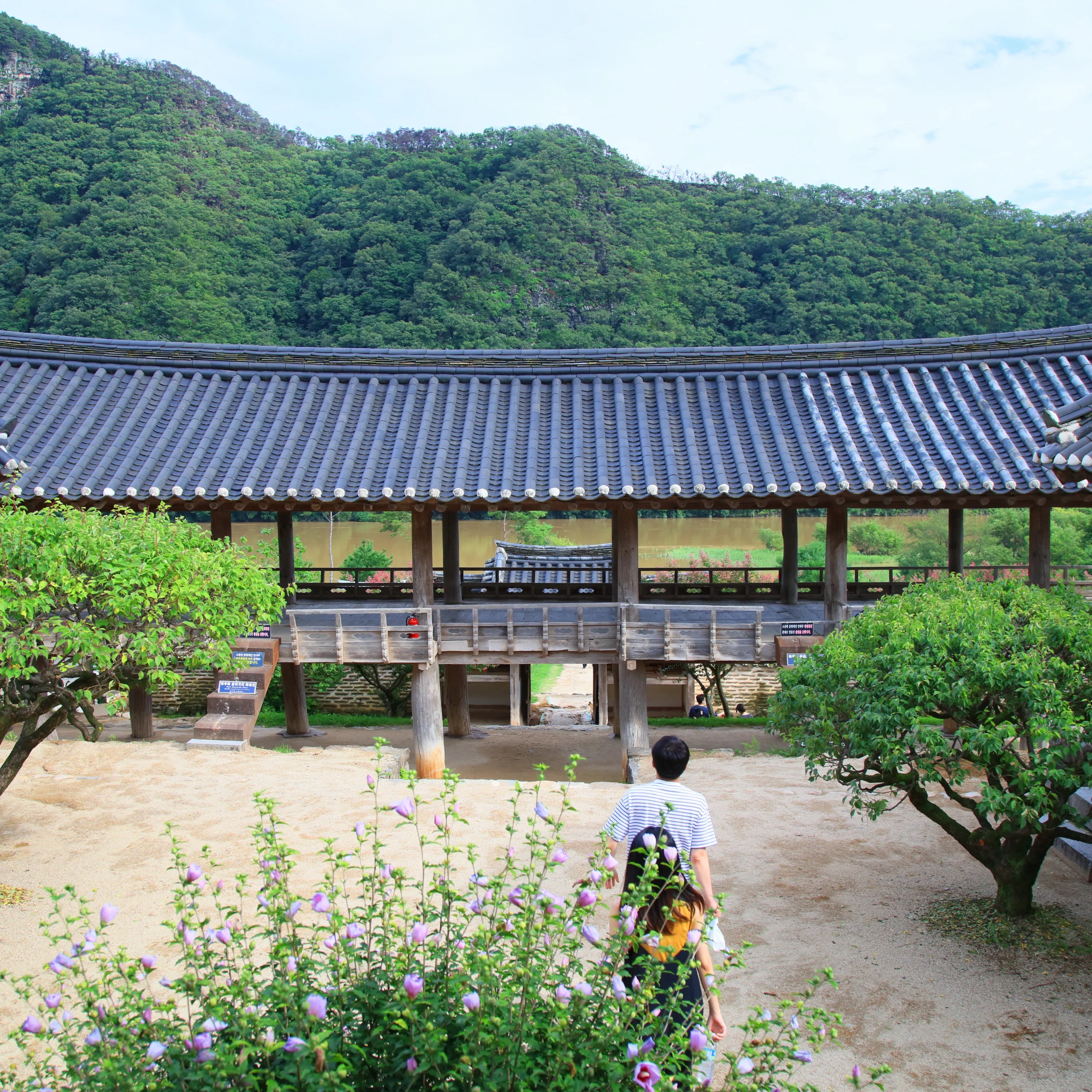 JOUR 7 - ANDONG - Au cœur du patrimoine coréen