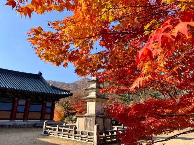 JOUR 8 - JIKJISA - Immersion dans le calme monastique