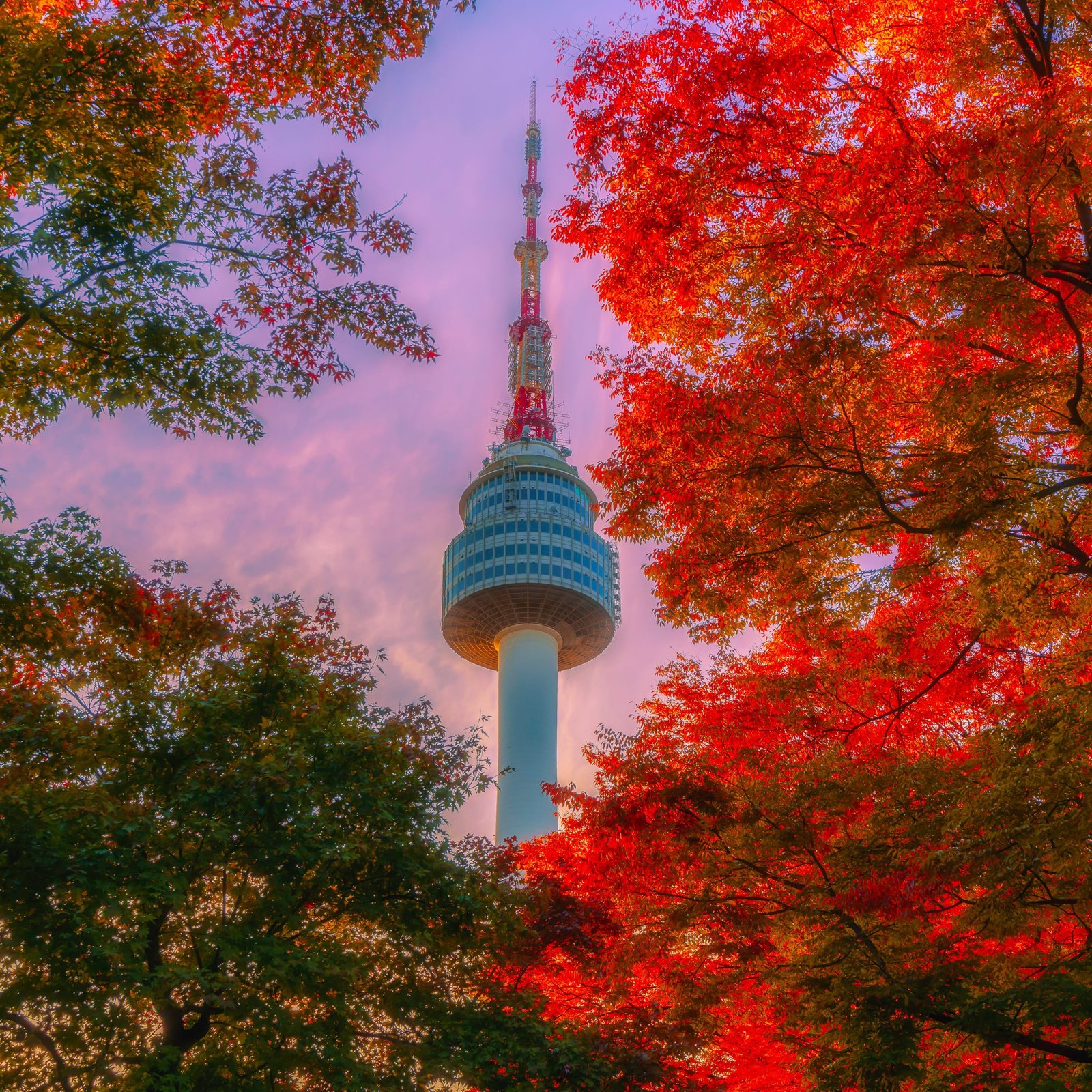 N Seoul Tower Séoul
