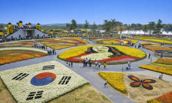 Festival des Tulipes