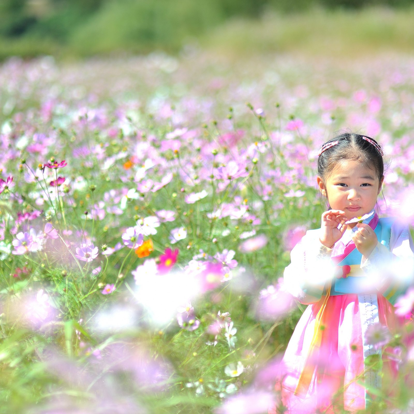 Voyage au printemps, une bonne idée