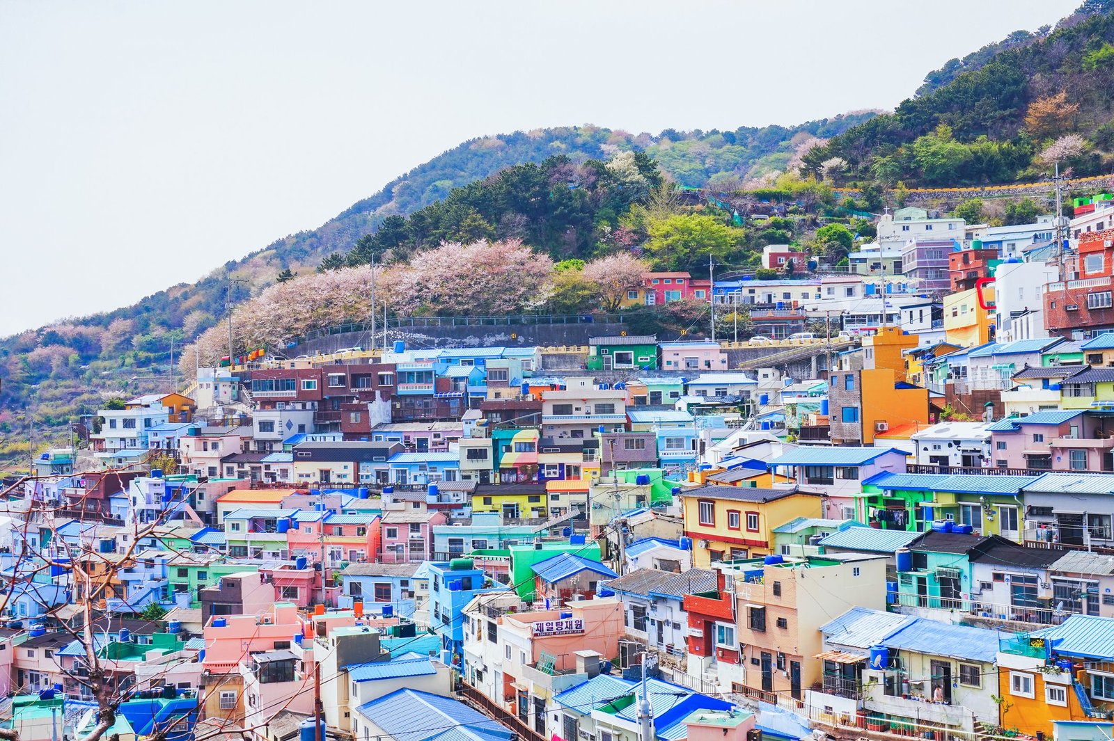 JOUR 11 - BUSAN - Le village des couleurs