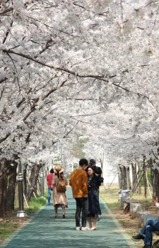 Printemps