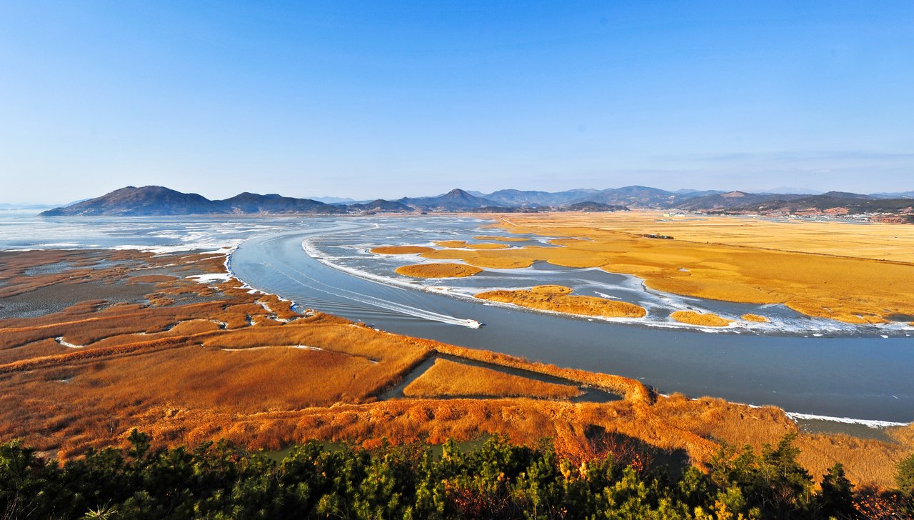 JOUR 15 - SUNCHEON - Les merveilles de la nature