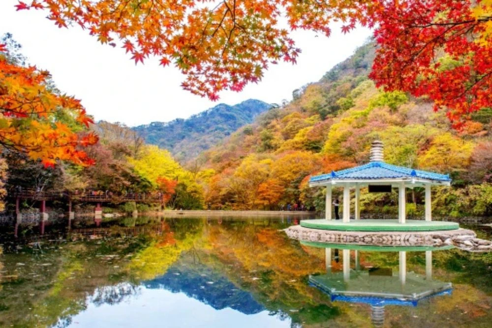 automne Les forêts de la vallée de Naejangsan