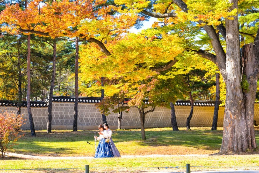 automne namsan park