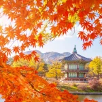 automne palais gyeongbokgung