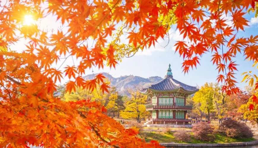 automne palais gyeongbokgung