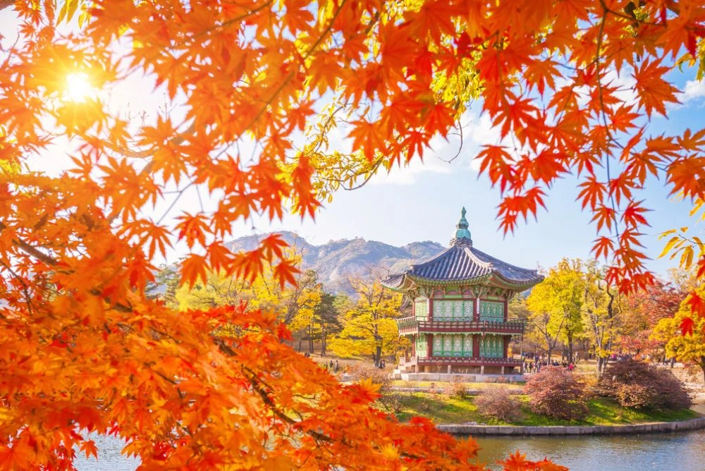 automne palais gyeongbokgung