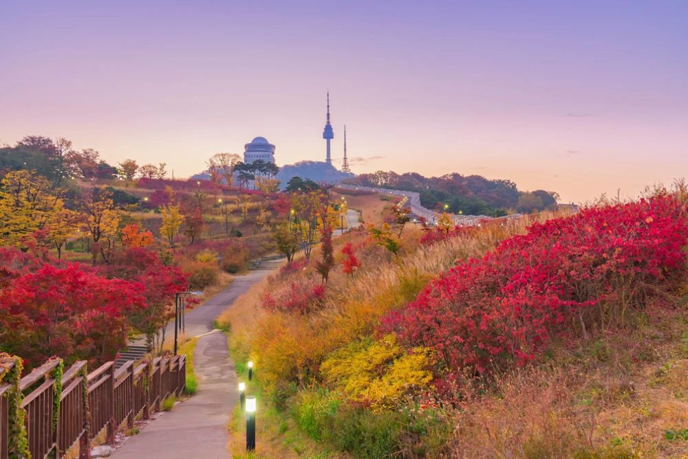 automne namsan park