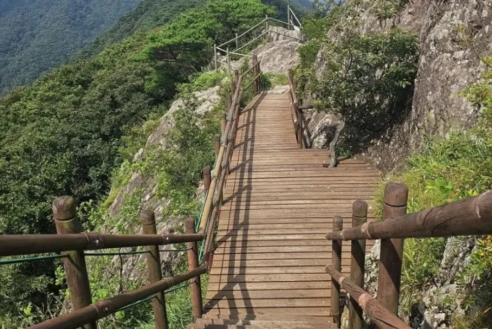 La nature du Parc National de Jirisan