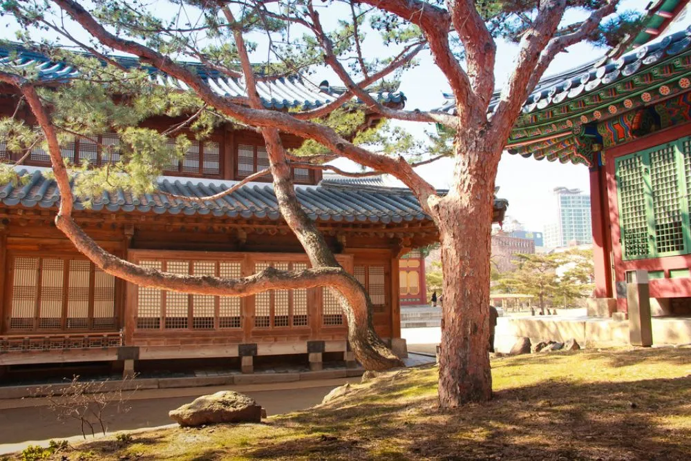hanok gyeongju