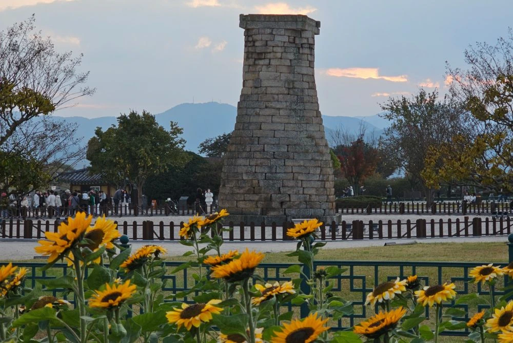 automne gyeongju