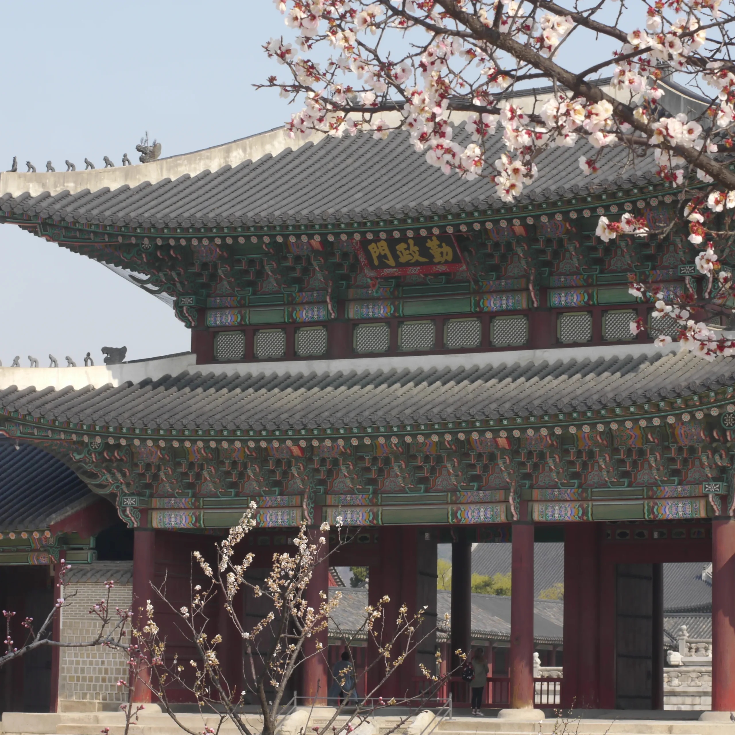 Visiter le palais Gyeongbokgung à Séoul : histoire, anecdotes et conseils pour une visite inoubliable