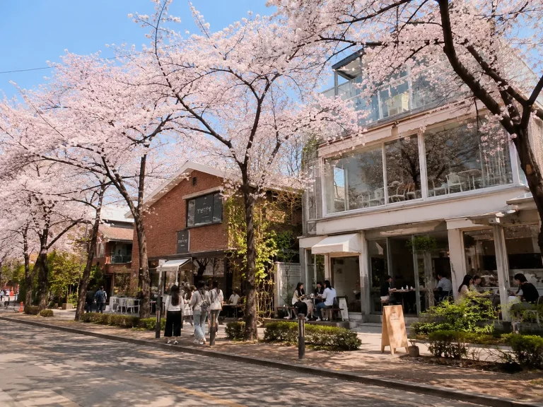 beau quartier Corée